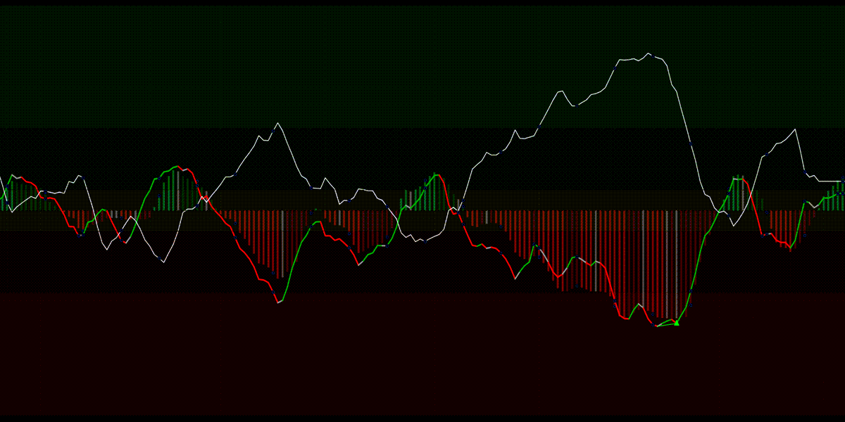 Seer RSI Indicator